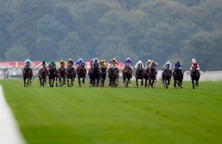 The turf Flat season returns on Saturday with Doncaster hosting the Lincoln Handicap